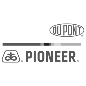 Pioneer